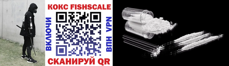 Cocaine FishScale  Купить закладки  Нестеров 